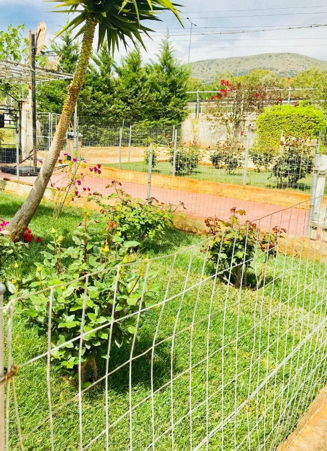 Sea View Countryside Home Near Атина Екстериор снимка