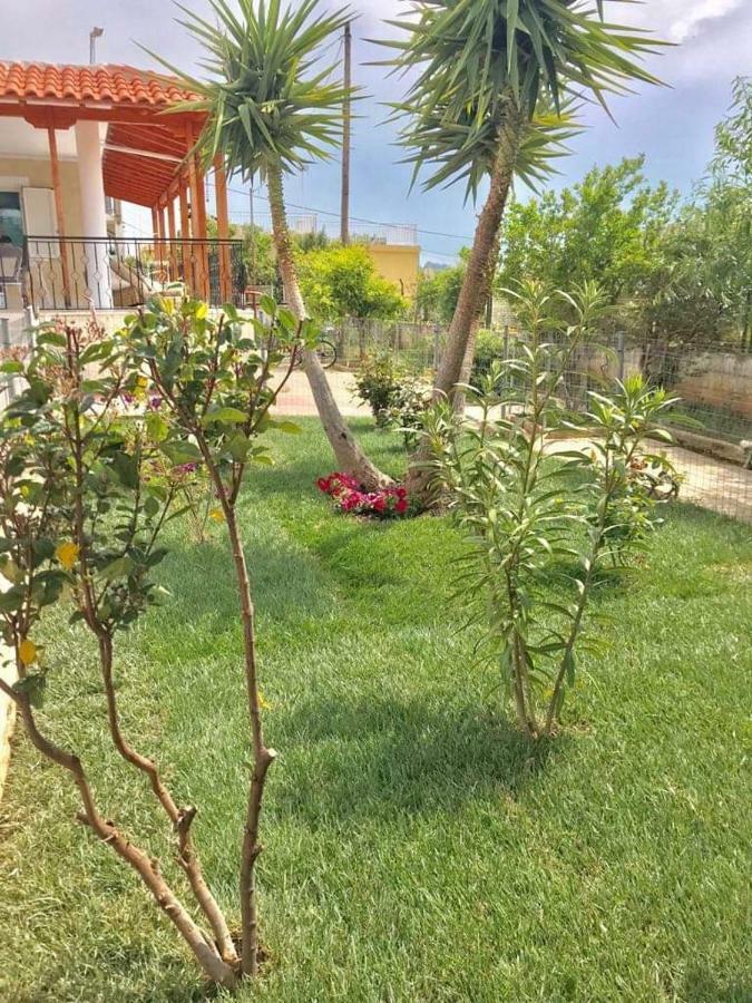 Sea View Countryside Home Near Атина Екстериор снимка